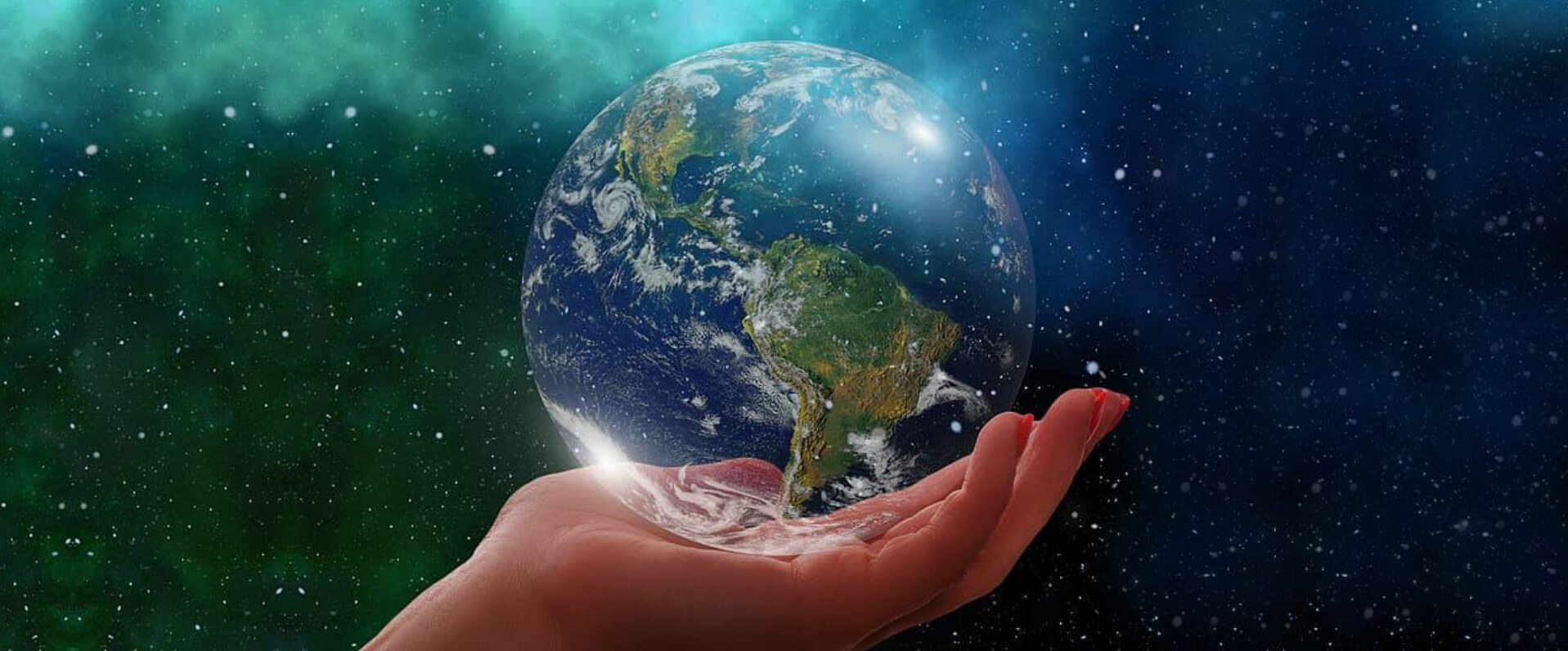 “BUTTERFLY”: PROGETTO VINCITORE DEL BANDO CREATIVE EUROPE 2022