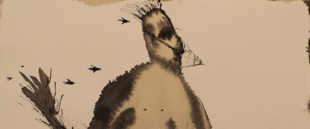 Yuval Avital. About birds